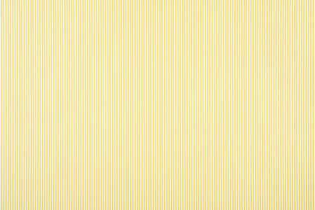 黄色条纹鲹图片