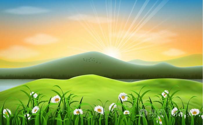 山风景背景与雏菊花