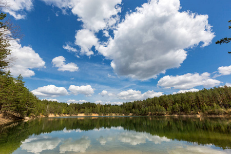 松树林中湖上有好云的风景