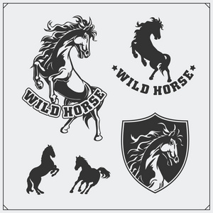 马纹章徽章。标签 标志和设计元素的体育俱乐部