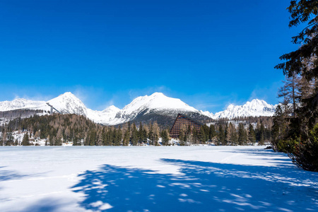 斯洛伐克, Strbske 萨格勒布 斯洛伐克大 Tatra 冰冻湖的看法。山在背景, 树和湖在前景。冬雪。体育假期和旅游业