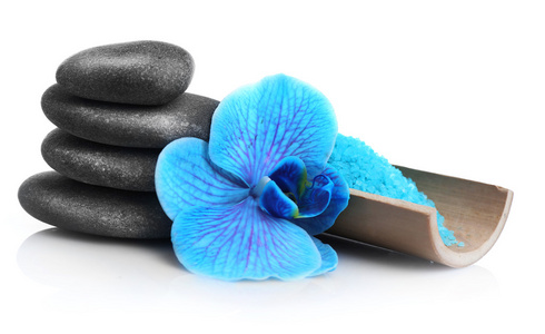美丽的蓝色兰花，有鹅卵石堆
