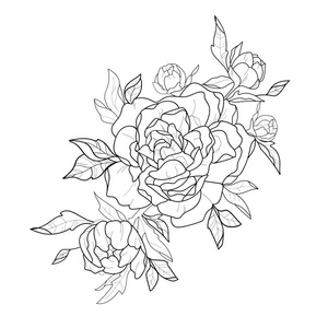 牡丹图形图片-牡丹图形素材-牡丹图形插画-摄图新视界