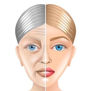 年轻老妇人脸上的衰老概念白色照片现实矢量图解