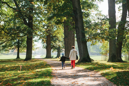 家人散步背影图片