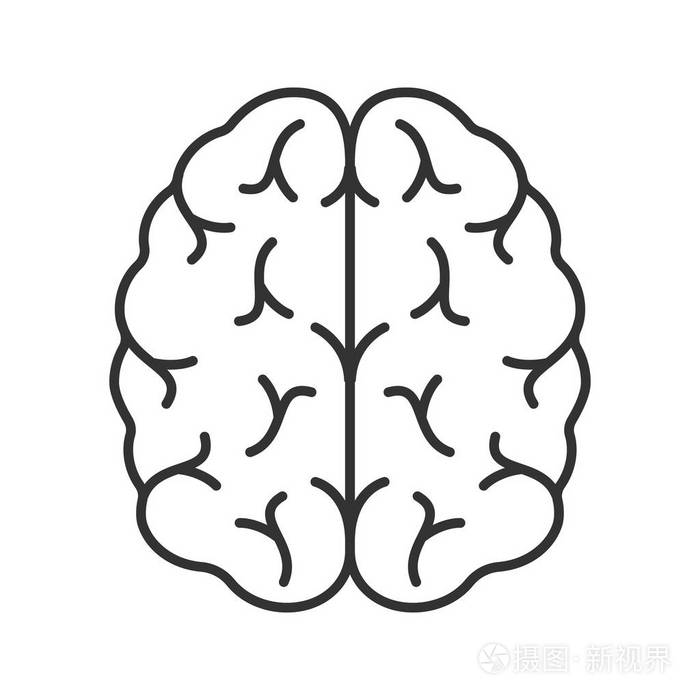 插画 人脑线性图标.细线插图.神经系统器官.轮廓符号.矢量隔离轮廓图.