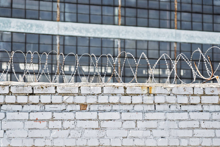 荆棘边防警卫队和一条狗的剪影扬声器和翅膀痛苦的心罗马尼亚山与栅栏