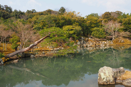 天龙寺日本京都岚山的禅宗花园