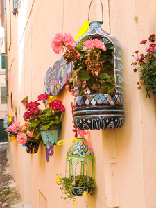 阿尔盖罗, 挂在城墙外的墙上的花朵, 意大利, 撒丁岛, 萨萨里