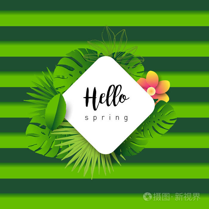 你好春天.热带植物的叶子和手工画的字体时髦横幅