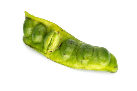 臭的水果佐藤被隔绝的, 泰国的臭豆在白色背景照片