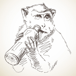 猴子从瓶子里喝