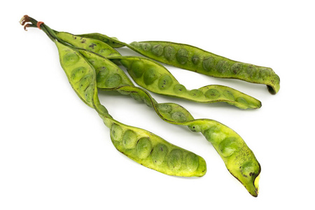 佐藤被隔绝的, 泰国的臭豆在白色背景照片