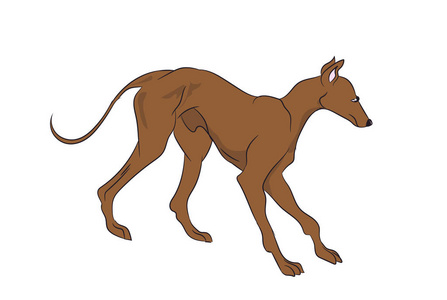 狗是褐色的载体, 白色的背景