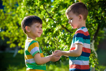 人们的孩子兄弟姐妹抱着年轻的植物, 手里拿着绿春的背景。地球日生态度假理念
