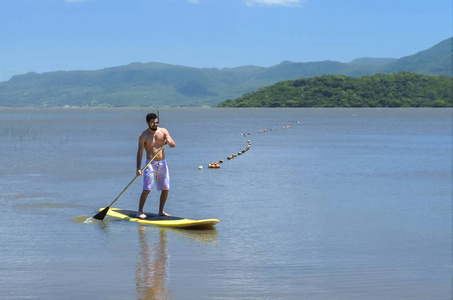 年轻人练习站在湖上划桨, 黄板, 划桨。Paddleboarding