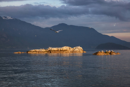 岩石岛屿与鸟类在一个引人注目的和美丽的日落。在豪声, 温哥华北部, 不列颠哥伦比亚省, 加拿大
