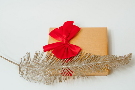 视图的节日礼品盒装饰着银羽毛和红色的弓