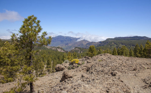 大加那利岛, 可以, 查看火山口 de Tejeda 朝云滚动在火山口的嘴唇