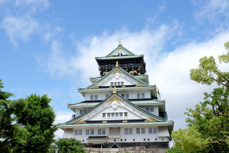 大阪, 太平绅士2018年5月19日 大阪城堡, 日本的松树在大阪城堡日