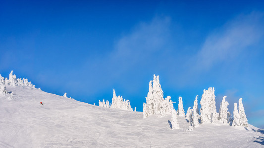 在高敞开滑雪能雪原高山