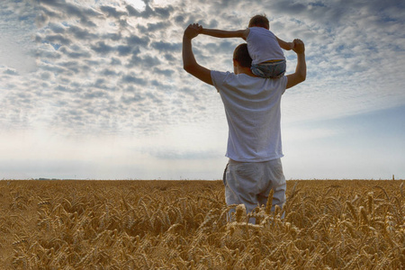 父亲和儿子在麦田.男子抱着男孩的肩膀上.看太阳.后退视图照片