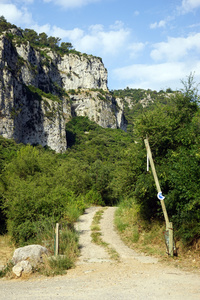 土路和山