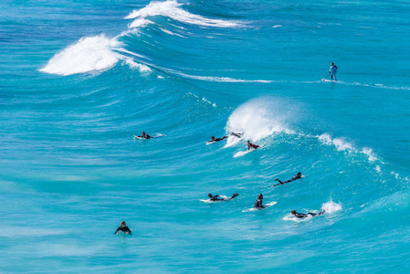 冲浪者群在水中畅游