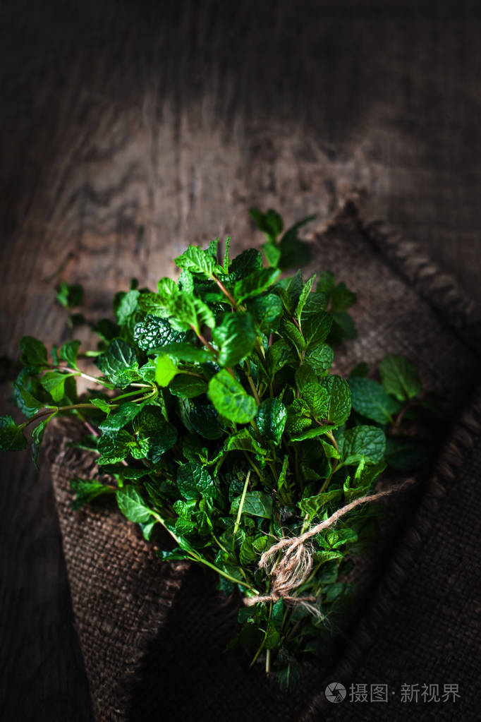 新鲜薄荷叶束草
