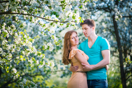 年轻美丽的夫妇，在苹果树林中的爱
