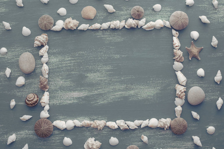 天然木质复古海贝壳石背景。装饰构图平躺