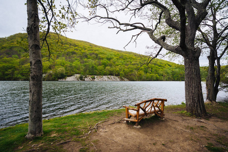 沿湖粗麻布，在纽约的熊山国家公园的长椅上