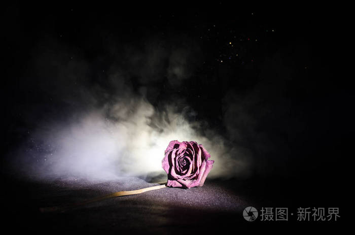 萎蔫的玫瑰象征着失去的爱情离婚或坏的关系在深色背景上死玫瑰