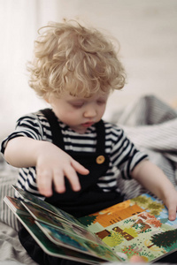 小卷发男孩看着书, 学习世界