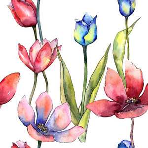 五颜六色的郁金香。花卉植物花。无缝的背景图案。织物墙纸打印纹理。背景质地包装图案框架或边框的水彩画野花