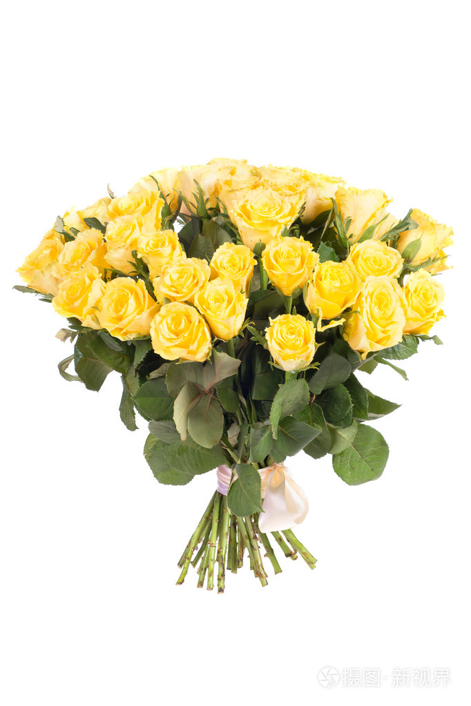 束黄玫瑰