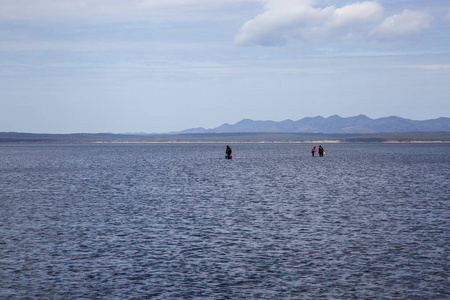 浅湖岸边