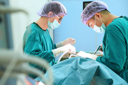 两名兽医外科医生在手术室里图片