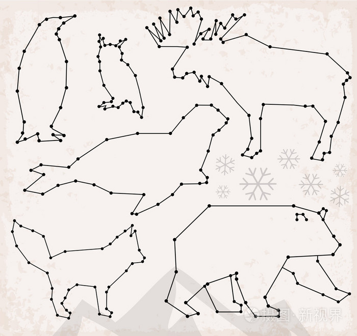 抽象的线条和网点北极动物设置矢量插图