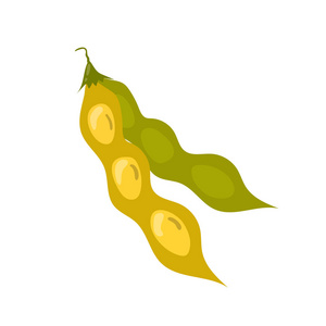 豆腐黄豆图片-豆腐黄豆素材-豆腐黄豆插画-摄图新视界