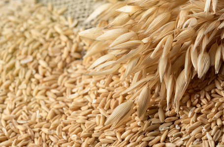 燕麦和燕麦小穗的全谷类照片