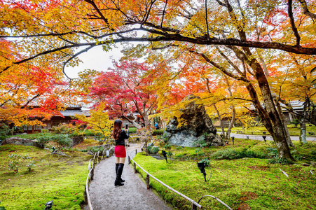 年轻女子在秋季公园拍照。秋天的五颜六色的叶子, 京都在日本