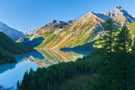 美丽的秋景，阿尔泰山俄罗斯