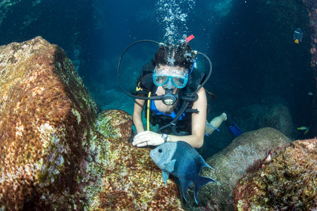 拉丁鱼漂亮的拉丁潜水员女孩在触摸一条鱼时照片