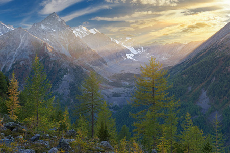 美丽的秋景，阿尔泰山俄罗斯