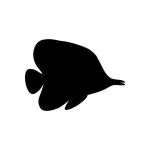 Chaetodon 御 Butterflyfish 在白色背景上的剪影。矢量插图