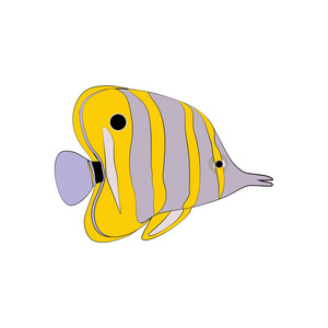 Chelmon rostratus Copperbanded Butterflyfish 在白色背景上。矢量插图