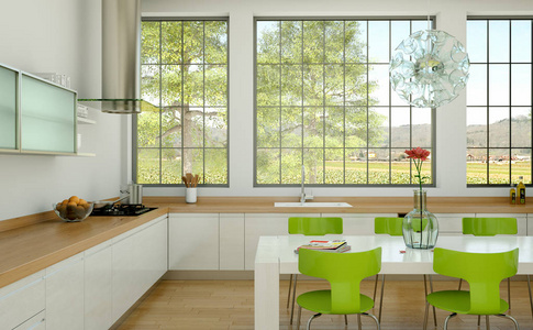 白色现代厨房在房子与绿色椅子和木桌