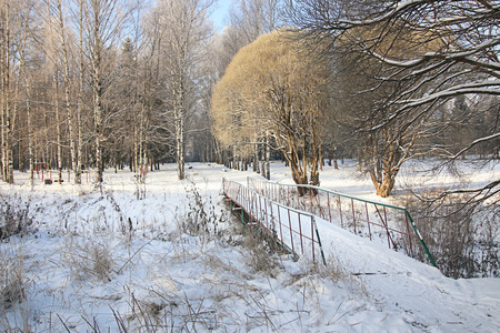 冬雪公园森林