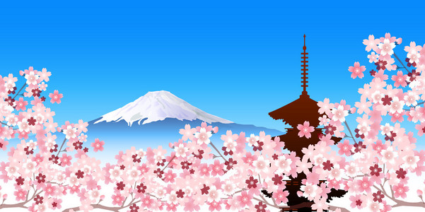 富士春天樱花树背景